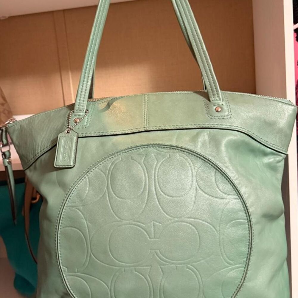 Coach Women's Green and Blue Bag